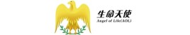 Life Angel (生命天使)